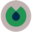 Guide For Blinkist