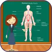 Body Parts Names and Pictures