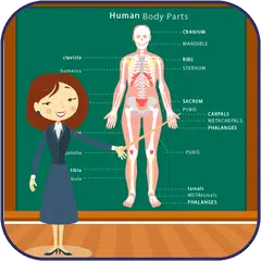 Body Parts Names and Pictures APK download