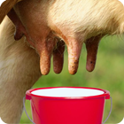 Cow Milk Game For Kids ikon