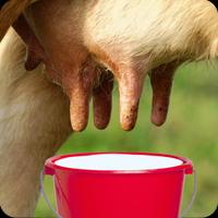 Cow Milk Game For Kids 截图 2