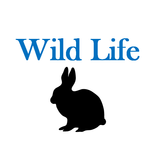 Wild Life