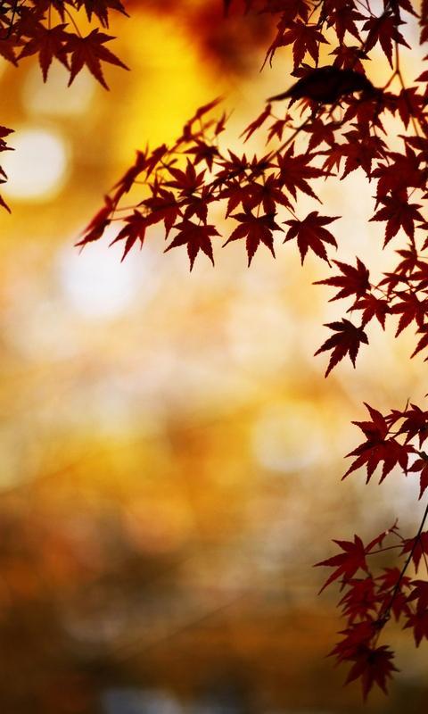 J1 Nxt Wallpapers For Android Apk Download