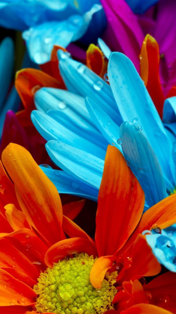 Moto X Play Wallpapers Hd Moto X Play Wallpapers Hd