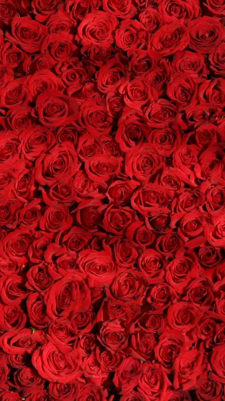 Redmi Note 4 Live Wallpapers APK for Android Download Redmi Note 4 Live Wallpapers APK for Android Download