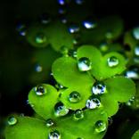 nubia Z11 Mini Wallpapers