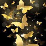 Xperia X Compact Wallpapers