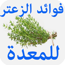 فوائد الزعتر للمعدة APK