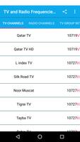 TV and Radio Frequencies on NileSat Satellite الملصق