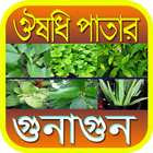 ঔষধি পাতার গুনাগুন أيقونة