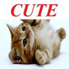 Cute Kittens! simgesi