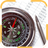 DIgital Compass Pro APK
