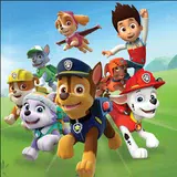 Paw Puppy Patrol Run