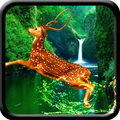 Deer Jump Live Wallpaper