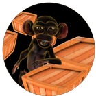 CatchTheMonkey icon