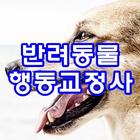 반려동물행동교정사 иконка