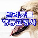 APK 반려동물행동교정사