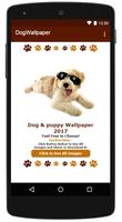 Cute Dog Pet Wallpaper!! Plakat