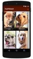 1 Schermata Cute Dog Pet Wallpaper!!