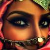 Danza del Vientre Videocurso APK