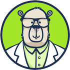 Conference Bear ikon