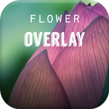 Flower Overlay