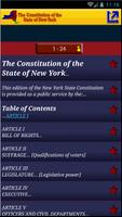 New York Constitution NYS laws capture d'écran 2