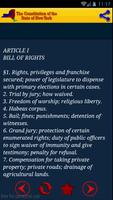 New York Constitution NYS laws স্ক্রিনশট 3