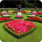Garden Design icon