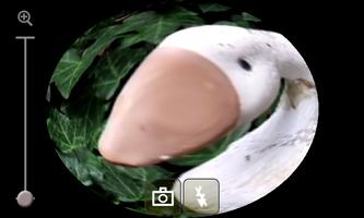 Fisheye Camera Effect 1 Affiche