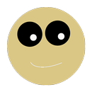 Inverted Camera Effect APK