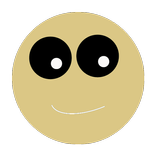 Inverted Camera Effect