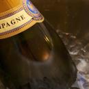 Champagne Wallpapers HD FREE aplikacja