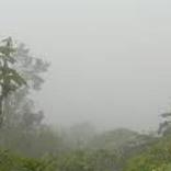 Cloud forests Wallpapers FREE