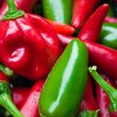 Jalapeno Peppers Wallpapers APK
