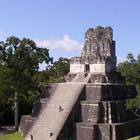 Tikal Wallpapers HD FREE icône