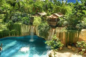 Tropical Rainforest Wallpapers 截图 1