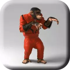 Cool Monkey Live Wallpaper