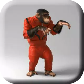 Cool Monkey Live Wallpaper