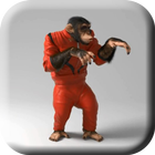 Cool Monkey Live Wallpaper 图标