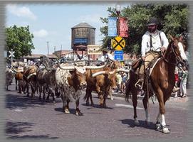 Cattle Drives Wallpaper постер