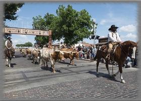 Cattle Drives Wallpaper скриншот 2