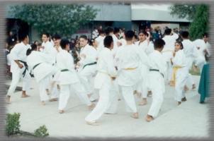 Karate Wallpaper capture d'écran 1