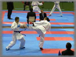 Karate Wallpaper capture d'écran 2