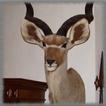 Hunting Trophies Wallpaper