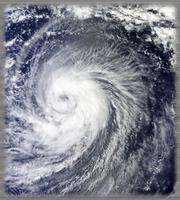 Hurricanes Wallpaper постер