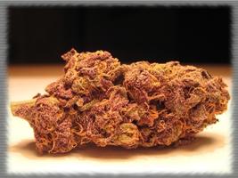 Purple Marijuana Wallpaper capture d'écran 1