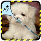 Cool Puppy Zip Lock 圖標