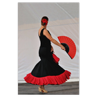 Apprendre à danser Sevillanas icône