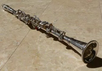 Learn to play the clarinet APK 下載